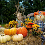 Harvest Party